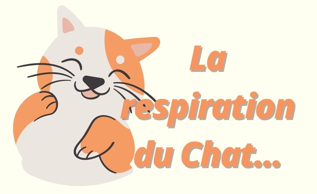 La respiration du chat YOGA DES ENFANTS